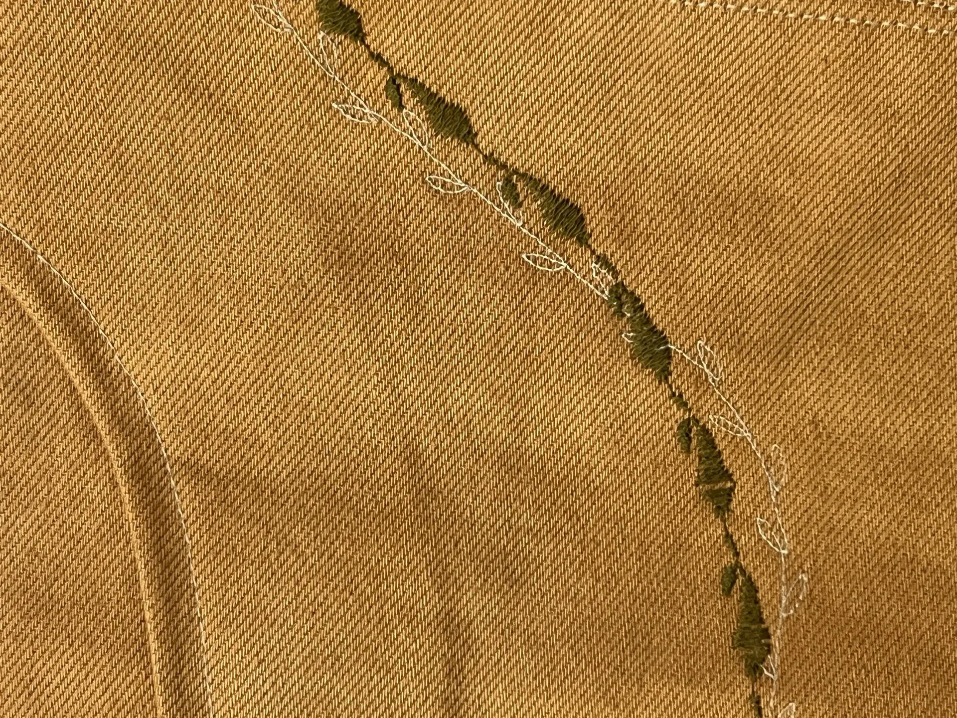 Collection broderie feuilles