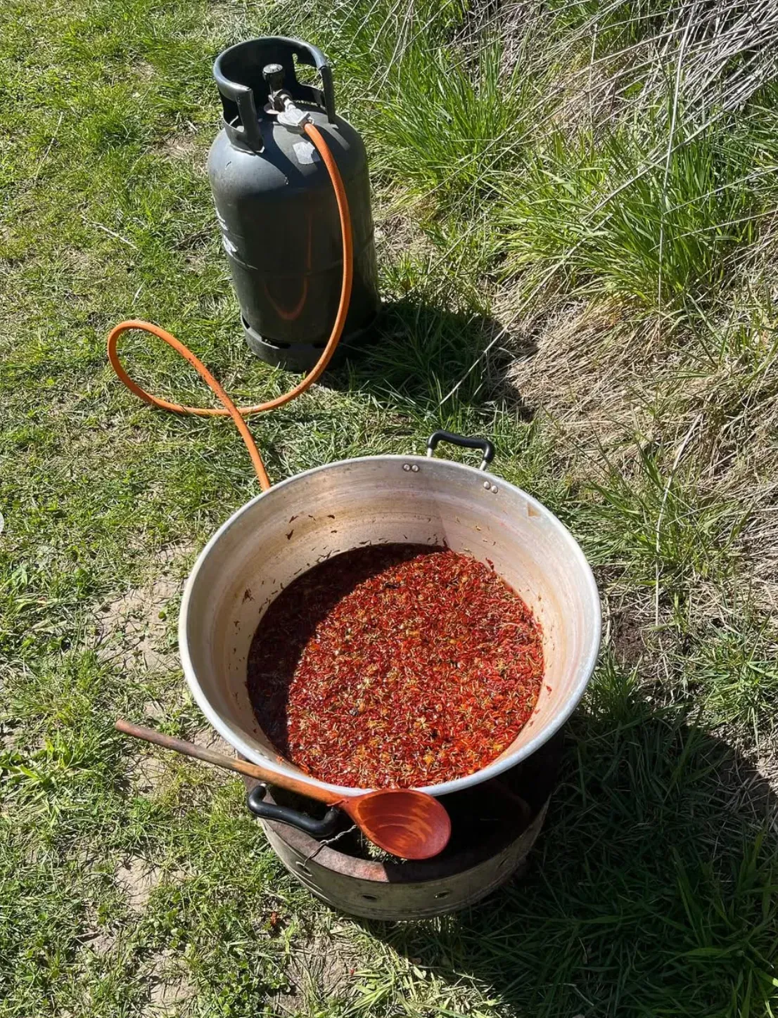 Échantillons de teinture végétale