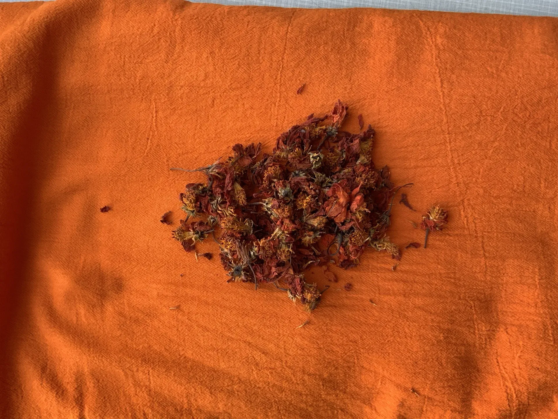 Teinture cosmos seche