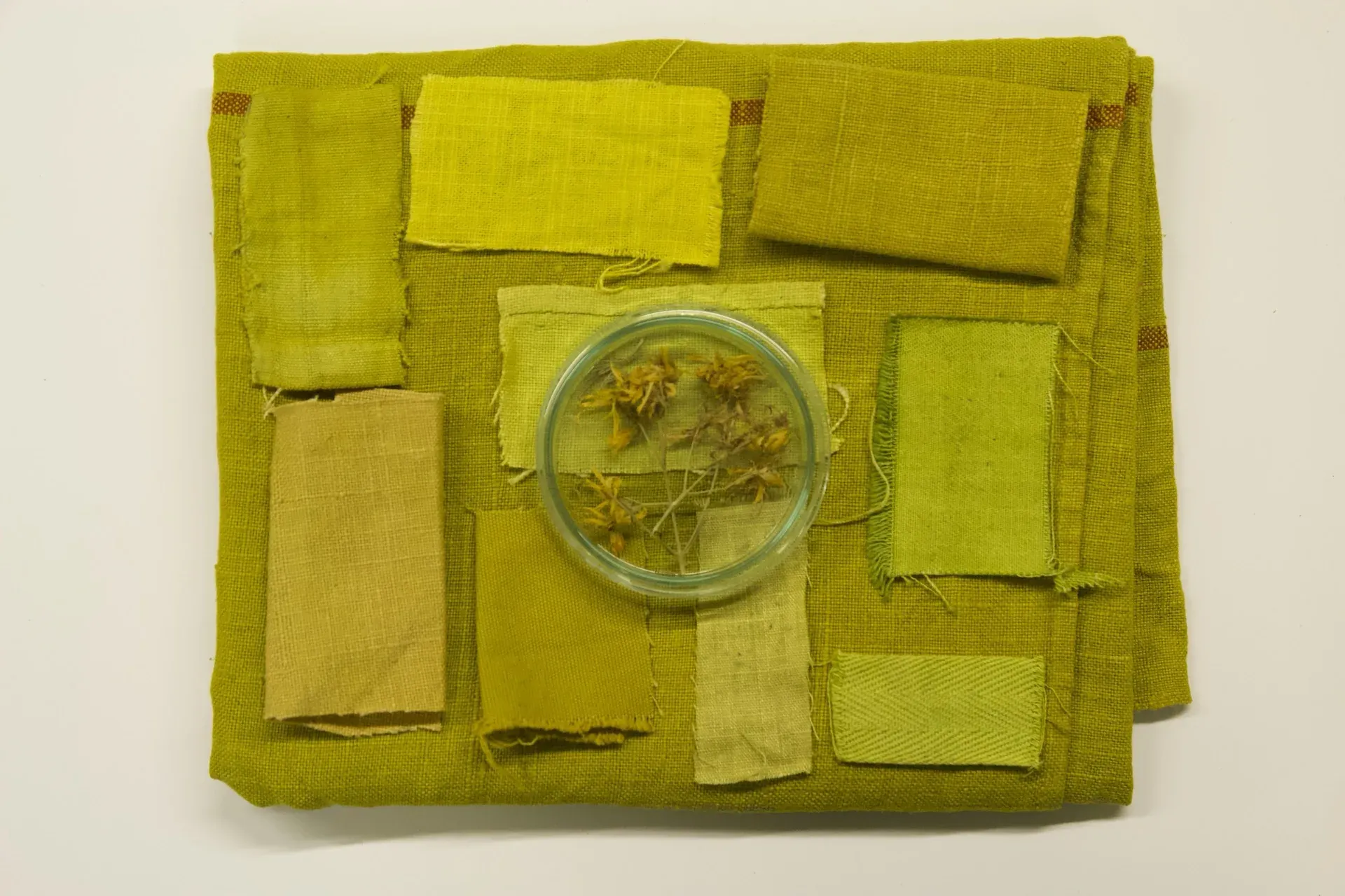 Teinture echantillons jaune