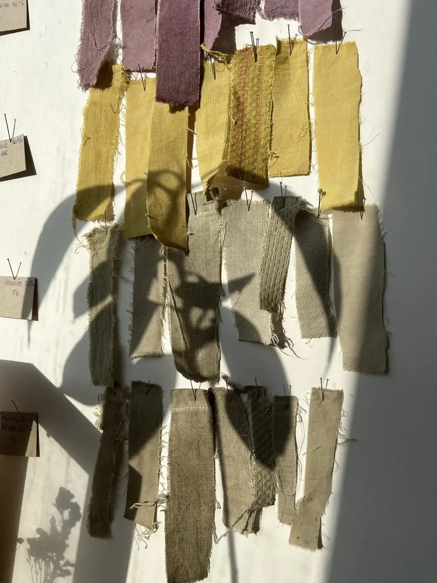 Teinture echantillons mur