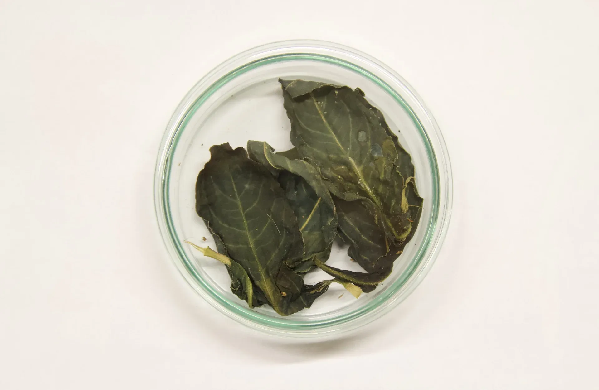 Teinture feuilles bol