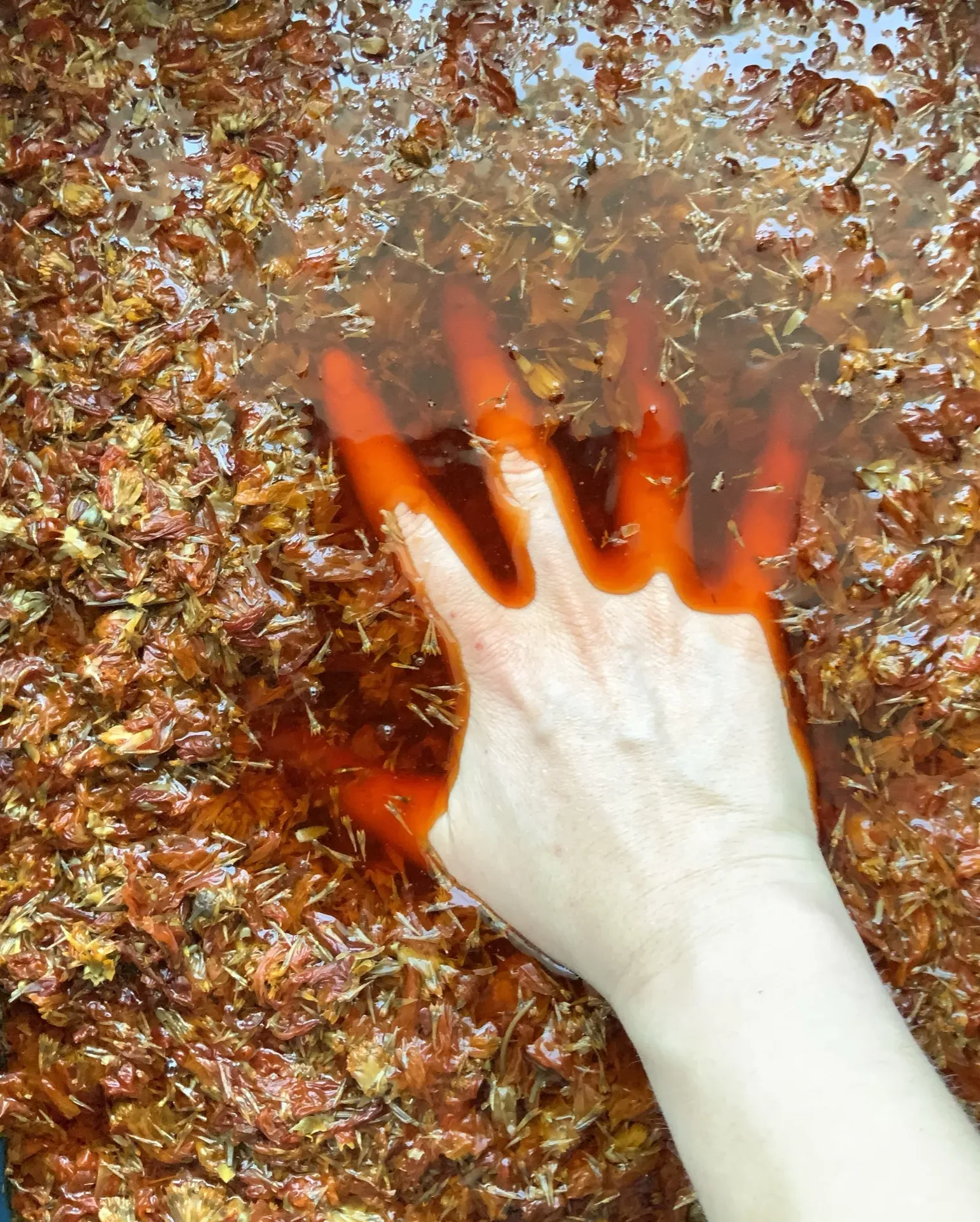 Teinture mains bain rouge